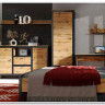 Гостиная Лофт (Loft) BRW заказать по цене 58 330 руб. в Перми