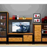 Гостиная Лофт (Loft) BRW заказать по цене 58 330 руб. в Перми