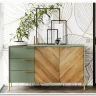 Витрина Siena REG1W1D дымчатый зеленый/дуб вотан BRW заказать по цене 43 630 руб. в Перми