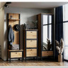 Прихожая Лофт (Loft) BRW заказать по цене 38 560 руб. в Перми